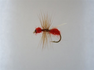 Size 18 Flying Ant Red